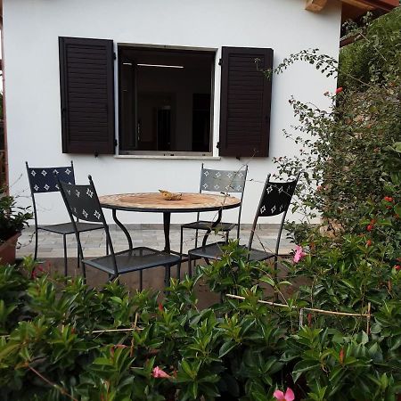 Agriturismomillefiori Manciano Zewnętrze zdjęcie