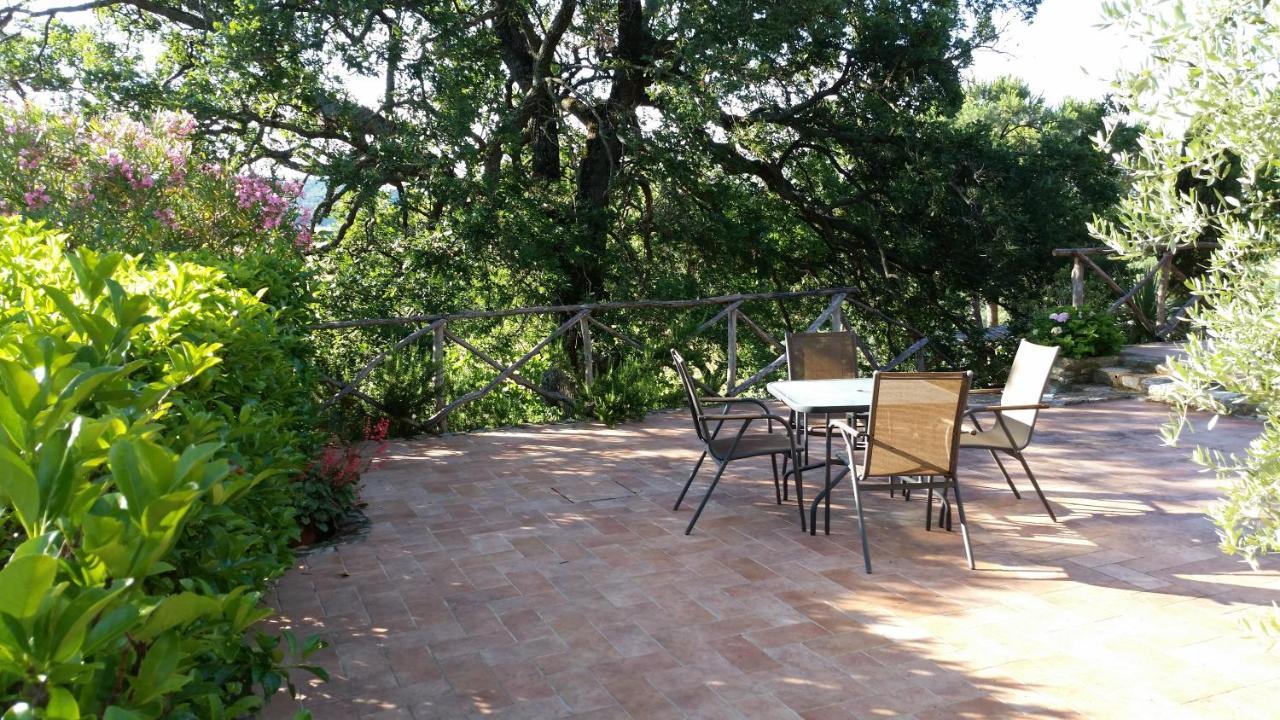 Agriturismomillefiori Manciano Zewnętrze zdjęcie